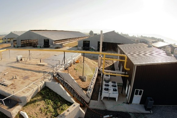 Digester Organic Digester